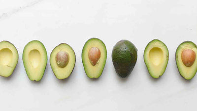 Dürfen Hunde Avocado essen? - Alles, was du wissen musst