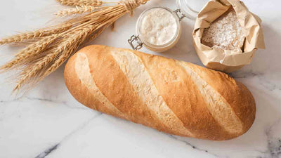 Dürfen Hunde Brot essen? Alles, was du wissen musst