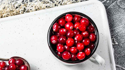 Dürfen Hunde Cranberries essen? Alles, was du wissen musst