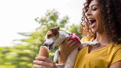 Dürfen Hunde Eis essen? Eis für Hunde