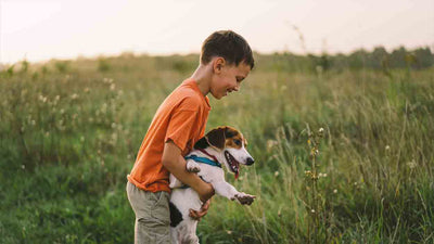 Hundepubertät: Wie man mit einem pubertierenden Hund umgeht