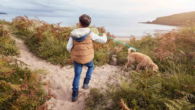 Urlaub mit Hund am Meer: Der ultimative Ratgeber