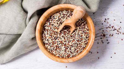 Dürfen Hunde Quinoa essen? Alles, was du wissen musst