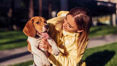 Was bedeutet Schluckauf beim Hund? 7 Gründe und hilfreiche Tipps