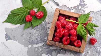 Dürfen Hunde Himbeeren essen?