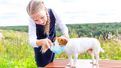 Allergie beim Hund