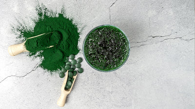 Spirulina für Hunde