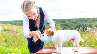 Allergie chez le chien