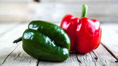 Dürfen Hunde Paprika essen? Das musst du wissen