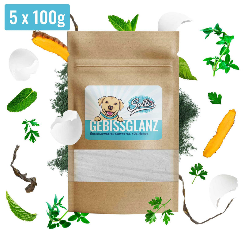 Gebissglanz - Dentalpulver Sparpaket | 500g