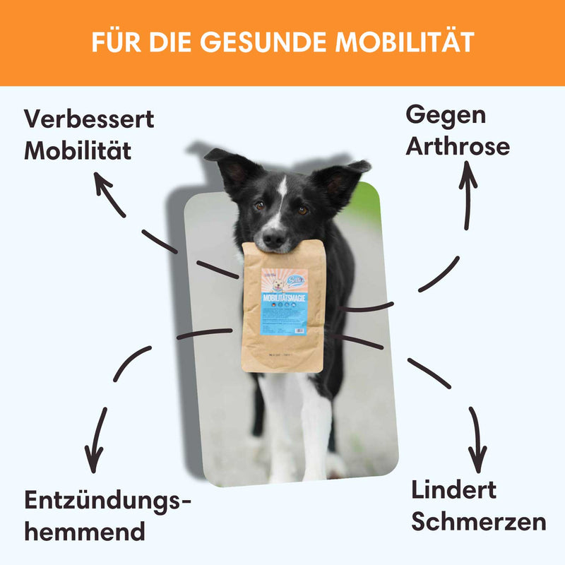 Gelenkpulver Mobilitätsmagie - Gegen Arthrose & Immobilität