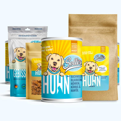 Tasting package chicken minis + FREE dental powder | Adult