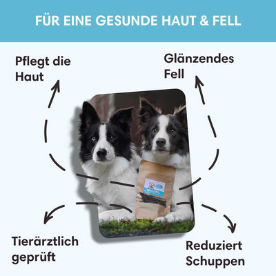 Funktionaler Snack Haut & Fell - Pflegt Fell & reduziert Schuppen - Solli's Hundebedarf