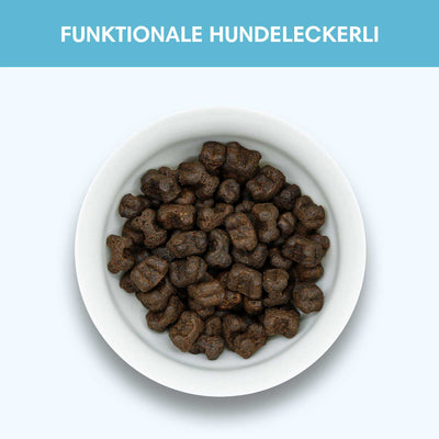 Funktionaler Snack Haut & Fell - Pflegt Fell & reduziert Schuppen - Solli's Hundebedarf