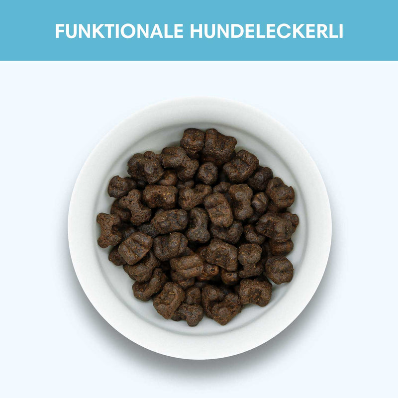 Funktionaler Snack Haut & Fell - Pflegt Fell & reduziert Schuppen - Solli&