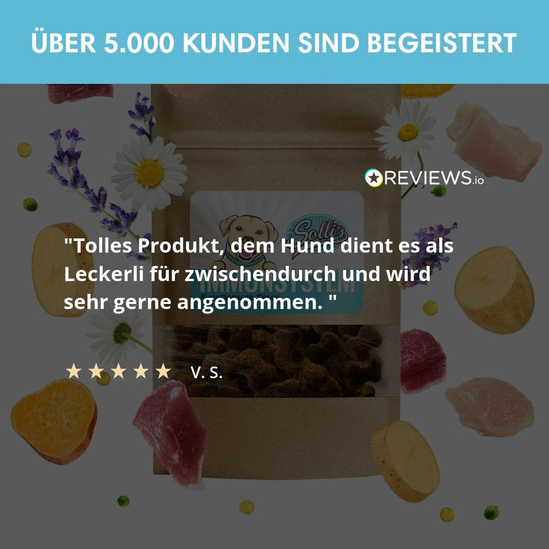 Funktionaler Snack Immunsystem - Fördert Immunabwehr - Solli&