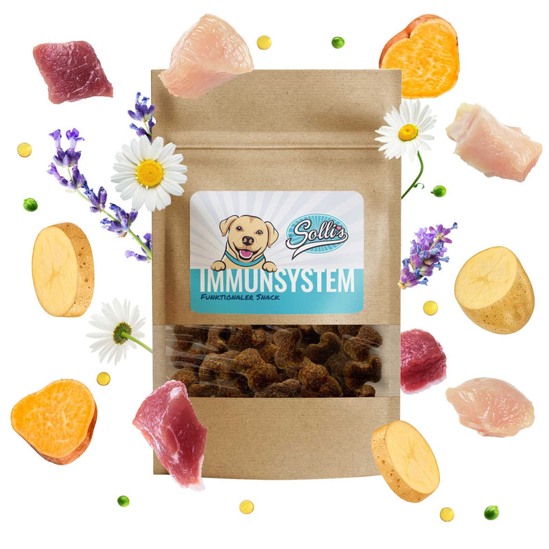 Funktionaler Snack Immunsystem - Fördert Immunabwehr - Solli&