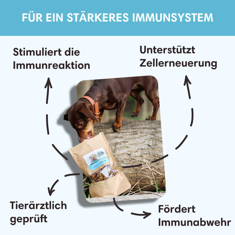 Funktionaler Snack Immunsystem - Fördert Immunabwehr - Solli&