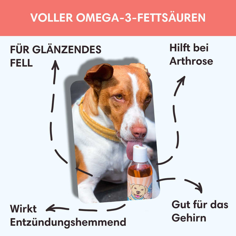 Lachsöl - Für gesunde Haut, Fell & Gelenke - Solli&