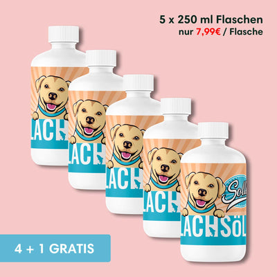 Lachsöl - Für gesunde Haut, Fell & Gelenke - Solli's Hundebedarf