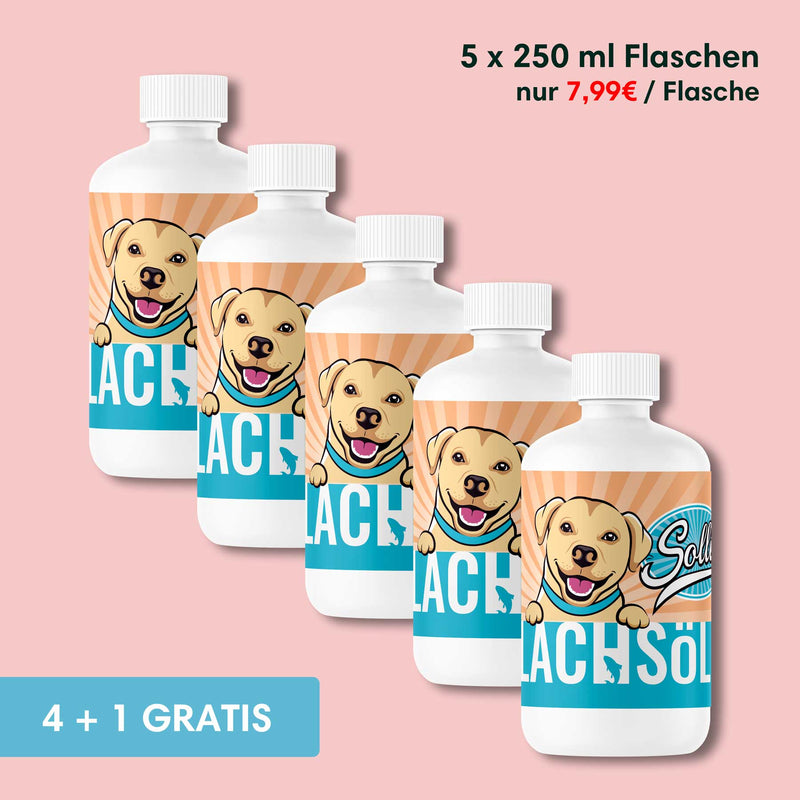 Lachsöl - Für gesunde Haut, Fell & Gelenke - Solli&