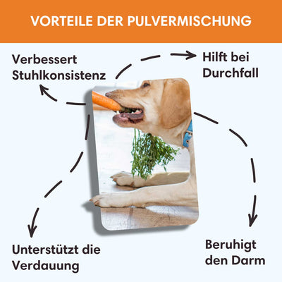 Moroscher Held - Fertigmischung gegen Durchfall - Solli's Hundebedarf