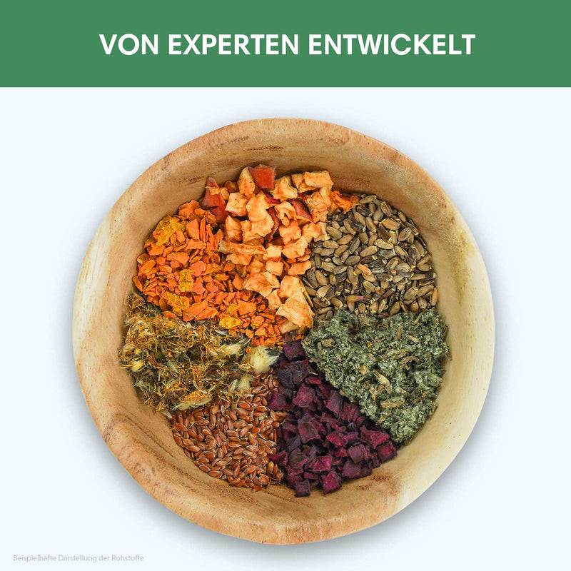 Organkraft - Leber - und Milzpflege leicht gemacht - Solli&
