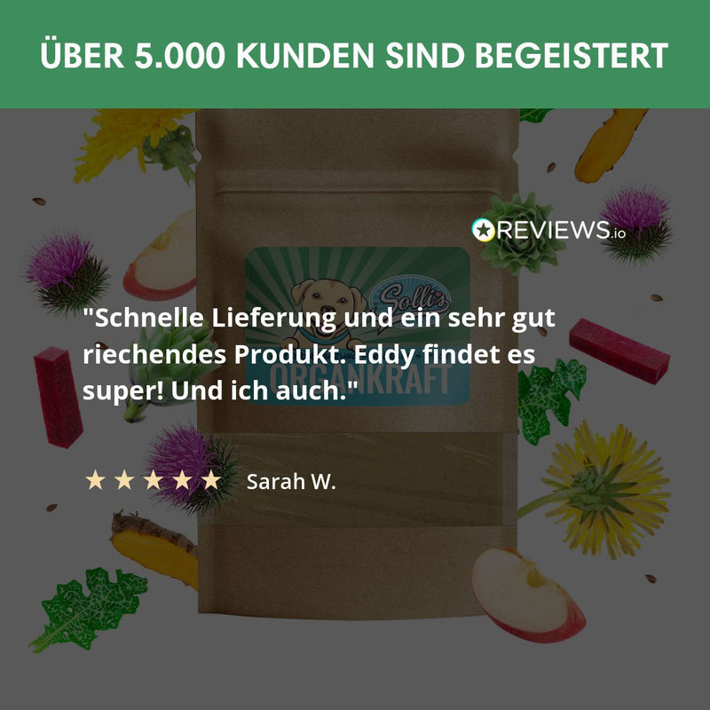 Organkraft - Leber - und Milzpflege leicht gemacht - Solli&