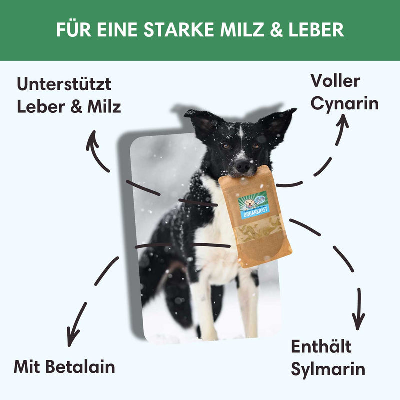 Organkraft - Leber - und Milzpflege leicht gemacht - Solli&