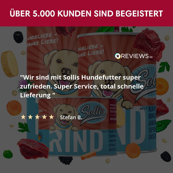 Probe Nassfutter Rind | Adult 200g - Solli's Hundebedarf