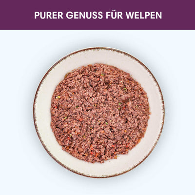 Probe Nassfutter Truthahn | Junior 200g - Solli's Hundebedarf