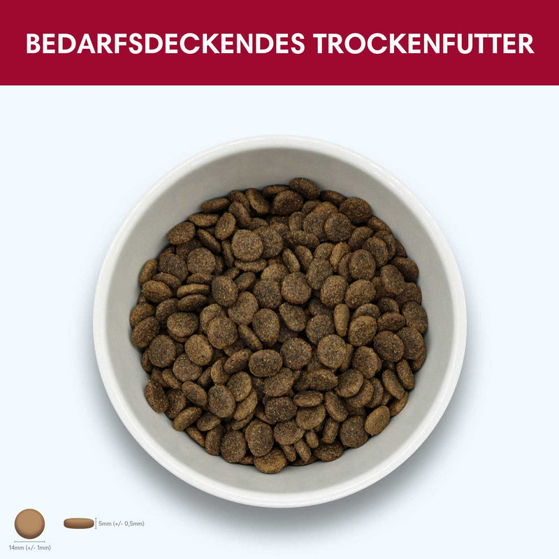 Probe Trockenfutter Angus - Rind | Adult - Regular 100g - Solli&