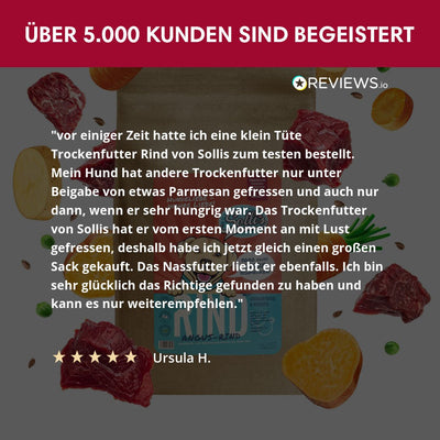 Probe Trockenfutter Angus - Rind | Adult - Regular 100g - Solli's Hundebedarf