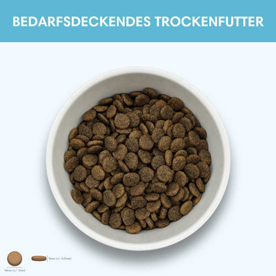 Probe Trockenfutter Ente | Adult - Regular 100g - Solli's Hundebedarf