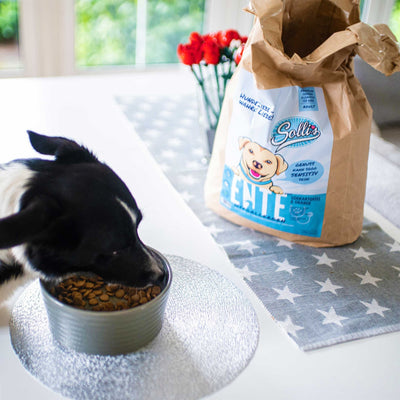 Probe Trockenfutter Ente | Adult - Regular 100g - Solli's Hundebedarf
