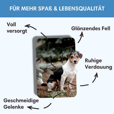 Probe Trockenfutter Freilandtruthahn - Minis | kleine Rassen 100g - Solli's Hundebedarf
