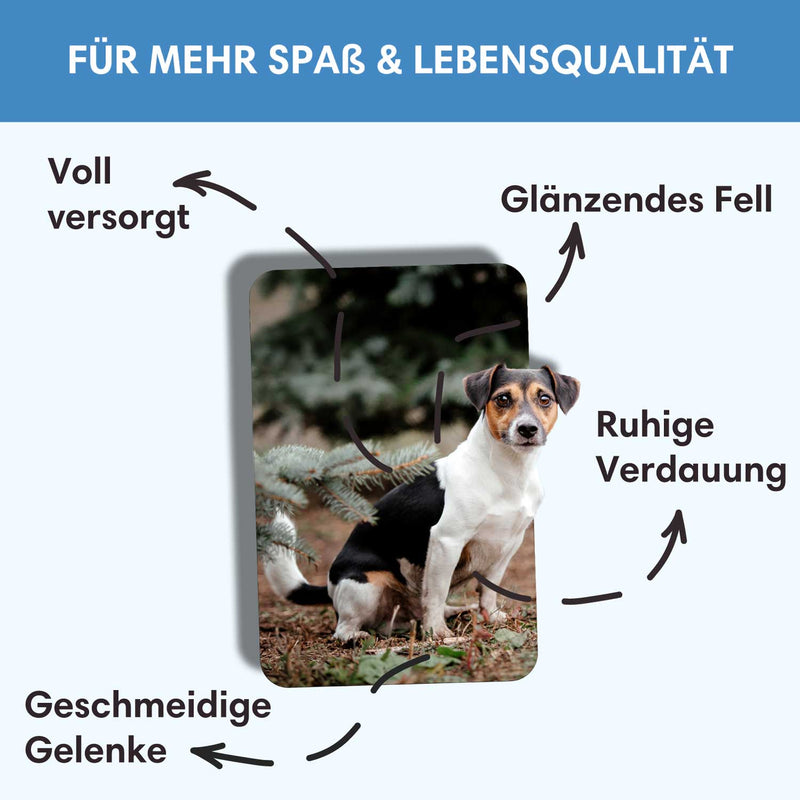 Probe Trockenfutter Freilandtruthahn - Minis | kleine Rassen 100g - Solli&