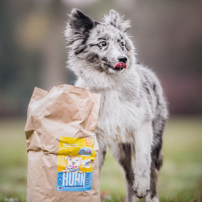Probe Trockenfutter Huhn | Welpenfutter - Regular 100g - Solli's Hundebedarf