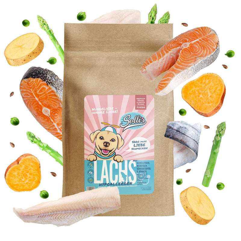 Probe Trockenfutter Lachs | Welpenfutter - Regular 100g - Solli&