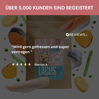 Probe Trockenfutter Lachs | Welpenfutter - Regular 100g - Solli's Hundebedarf
