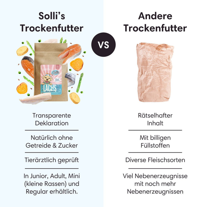 Probe Trockenfutter Lachs | Welpenfutter - Regular 100g - Solli&
