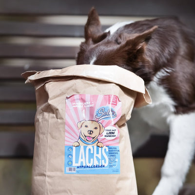 Probe Trockenfutter Lachs | Welpenfutter - Regular 100g - Solli's Hundebedarf