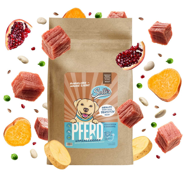 Probe Trockenfutter Pferd | Adult - Regular 100g - Solli's Hundebedarf