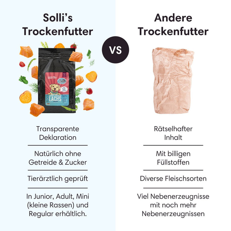 Probe Trockenfutter Schottischer Lachs - Minis | kleine Rassen 100g - Solli&