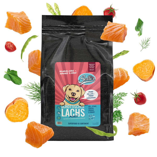 Probe Trockenfutter Schottischer Lachs - Minis | kleine Rassen 100g - Solli's Hundebedarf
