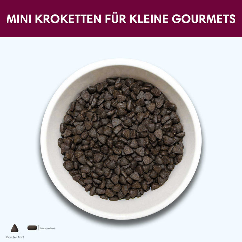 Probe Trockenfutter Schottischer Lachs - Minis | kleine Rassen 100g - Solli&