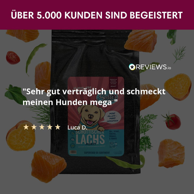 Probe Trockenfutter Schottischer Lachs - Minis | kleine Rassen 100g - Solli&