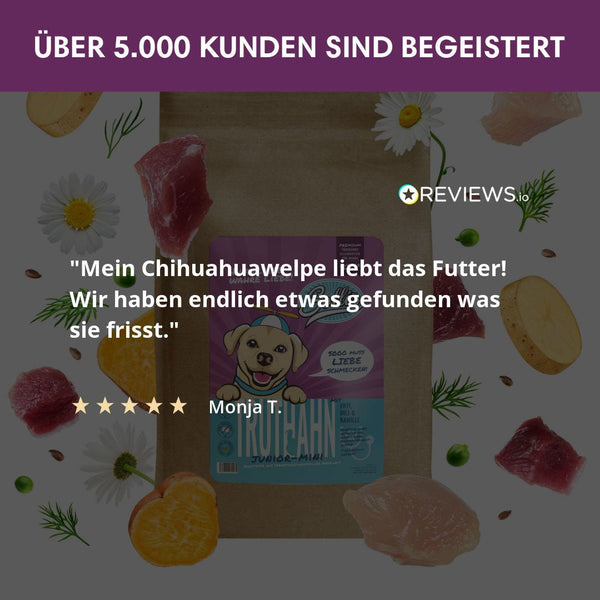 Probe Trockenfutter Truthahn - Minis | Welpenfutter - kleine Rassen 100g - Solli's Hundebedarf