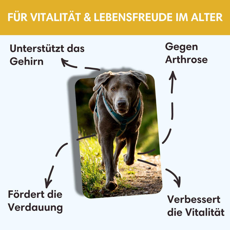 Seniorenpulver Goldene Jahre - Gegen Altersbeschwerden - Solli&