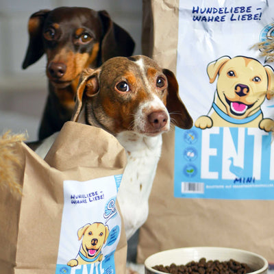 Trockenfutter Ente - Minis | kleine Rassen - Solli's Hundebedarf